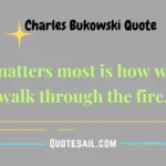 Charles Bukowski Quote